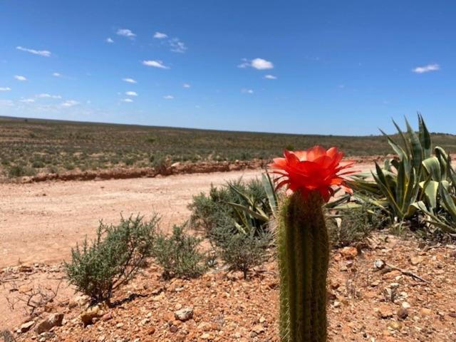 White Cliffs Underground Motel