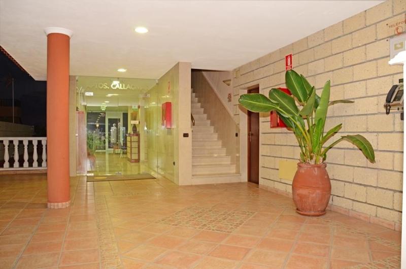 Apartamentos Callaomar