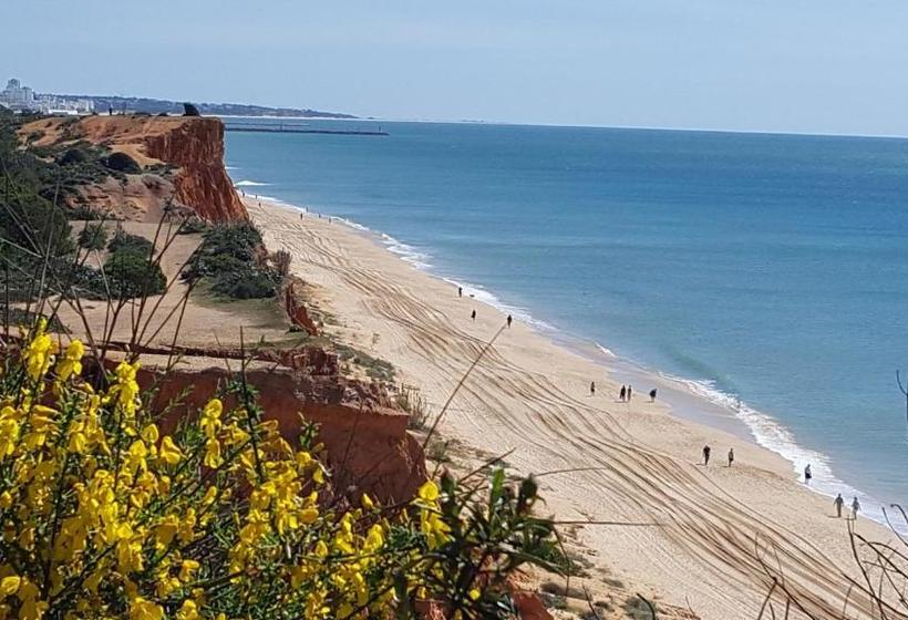 Apartamentos Cerro Branco