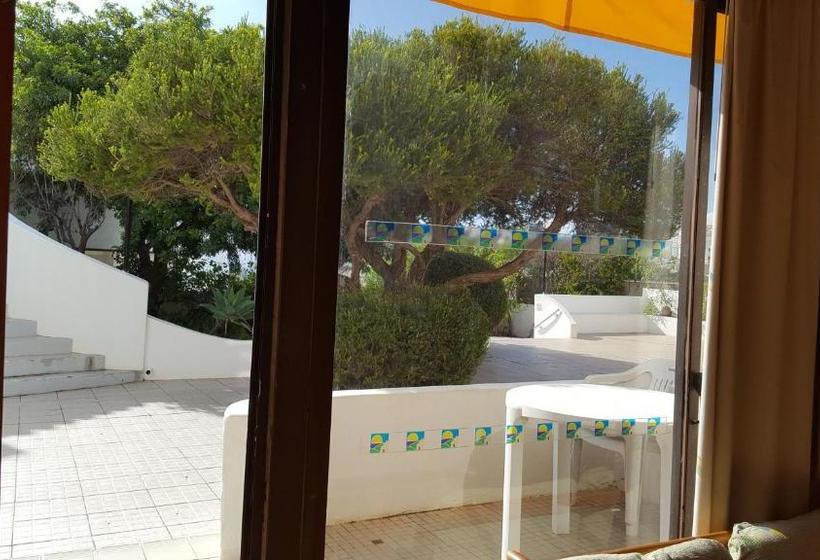 Apartamentos Cerro Branco