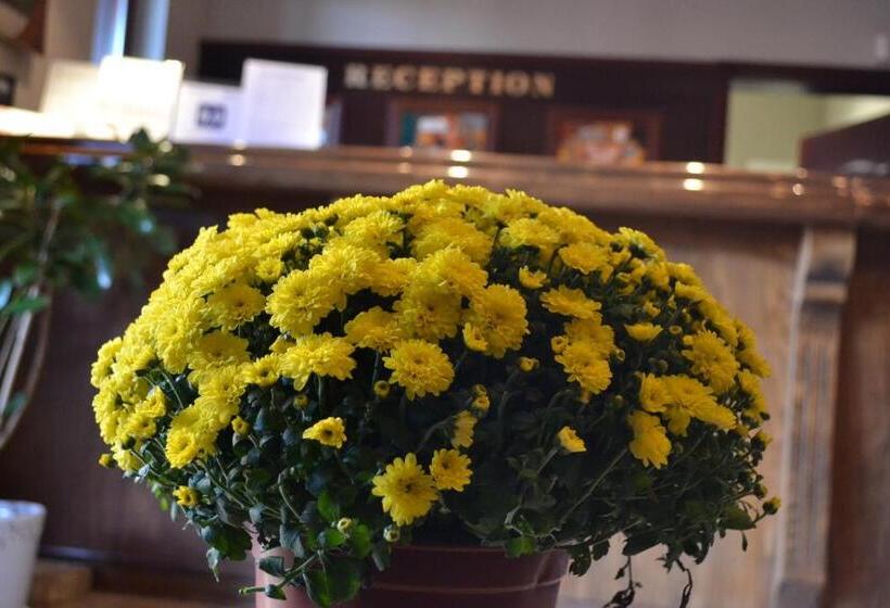 Boutique Hotel St. Stefan