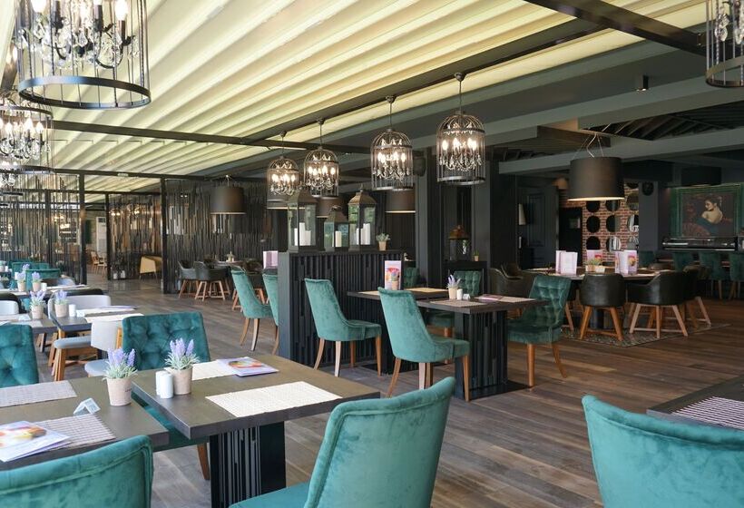 Dit Evrika Beach Club Hotel   All Inclusive