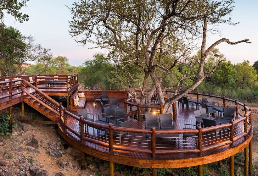 호텔 Aha Makalali Private Game Reserve