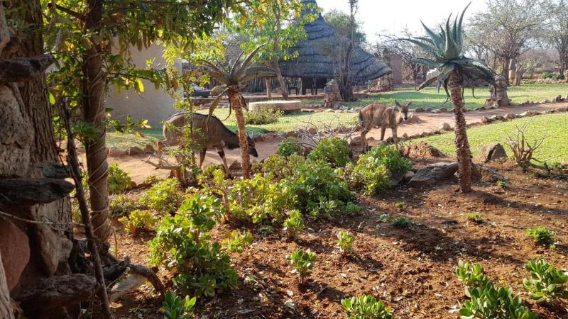 호텔 Aha Makalali Private Game Reserve