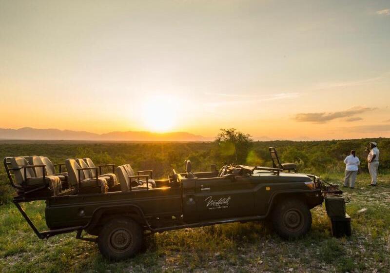 호텔 Aha Makalali Private Game Reserve