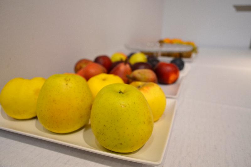 هتل Alda Palacio Valdes