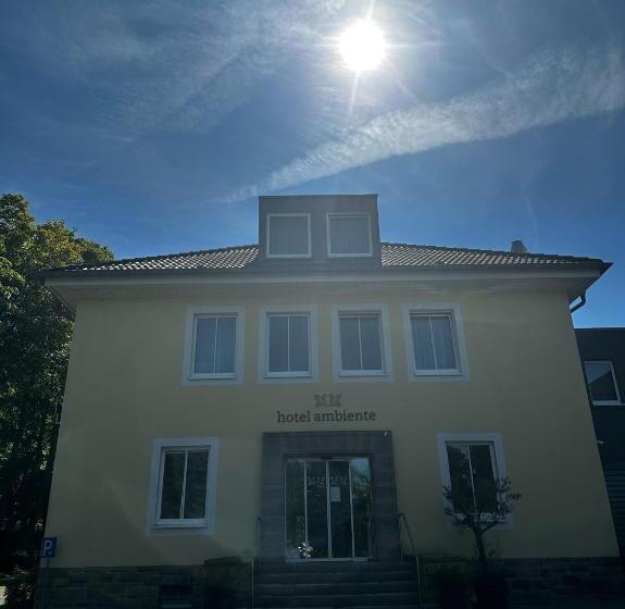 בית מלון כפרי Ambiente