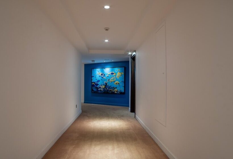 Отель Arkin Palm Beach