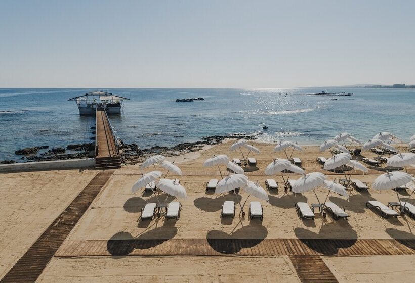 Отель Arkin Palm Beach