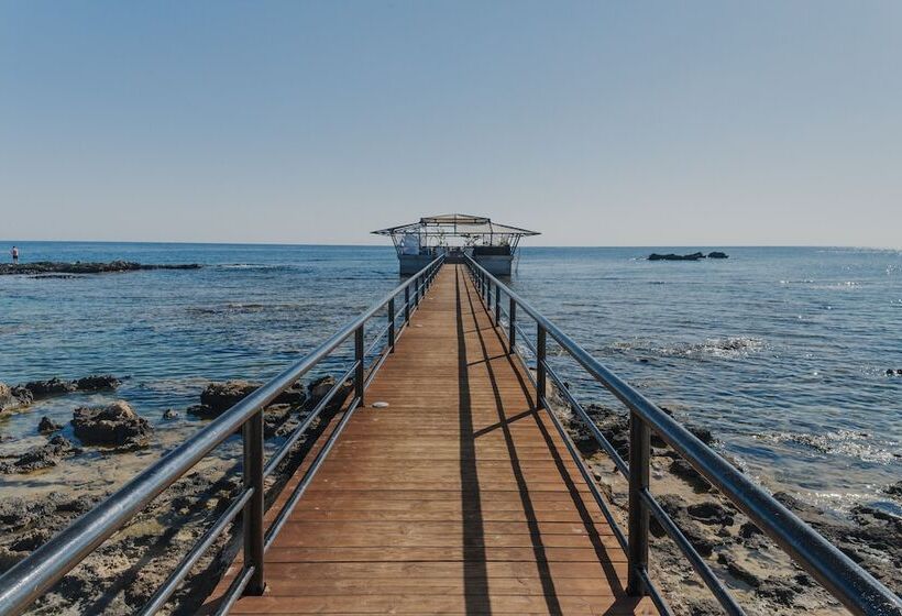 Отель Arkin Palm Beach