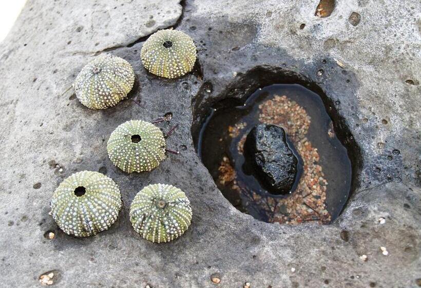 בית מלון כפרי Baja Azzurra