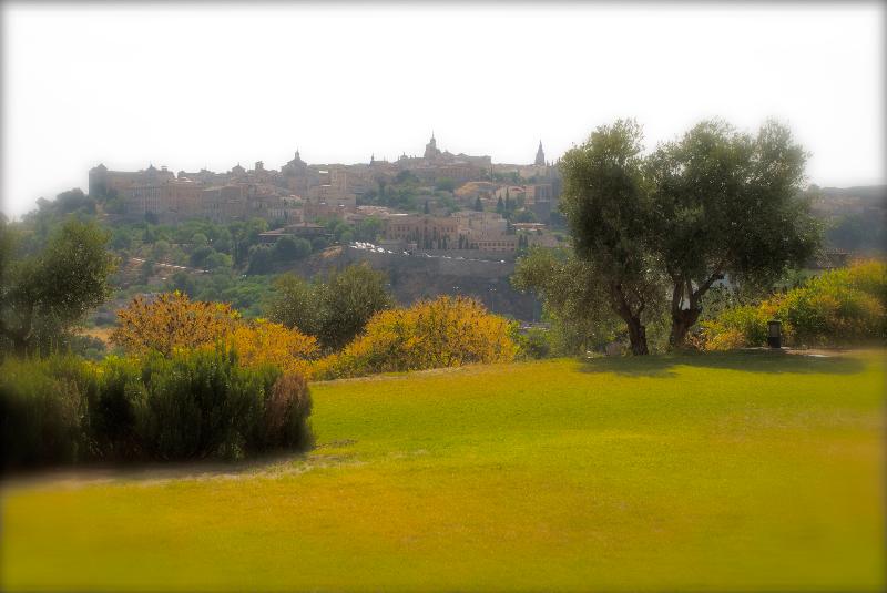 酒店 Cigarral El Bosque