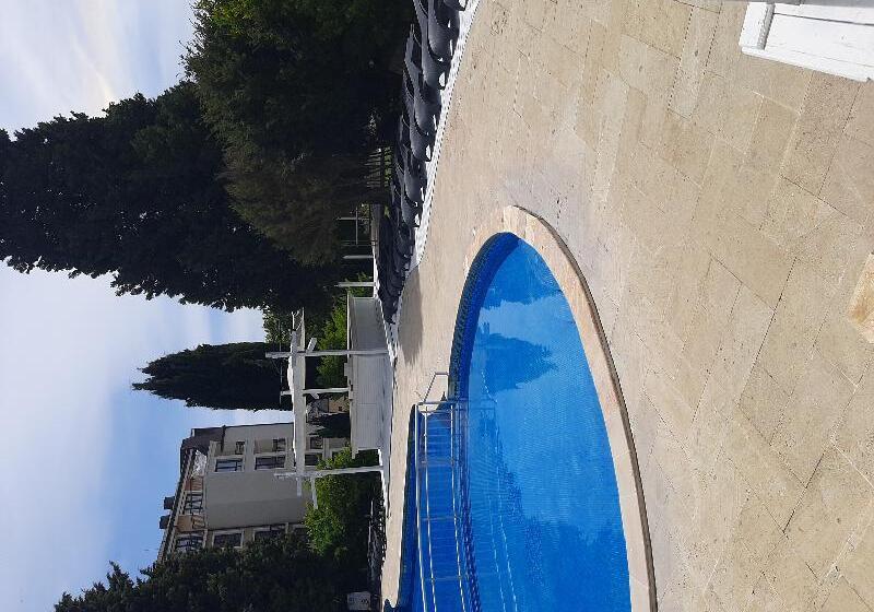 בית מלון כפרי Detelina