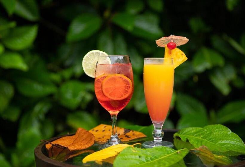 فندق Evergreen Lodge