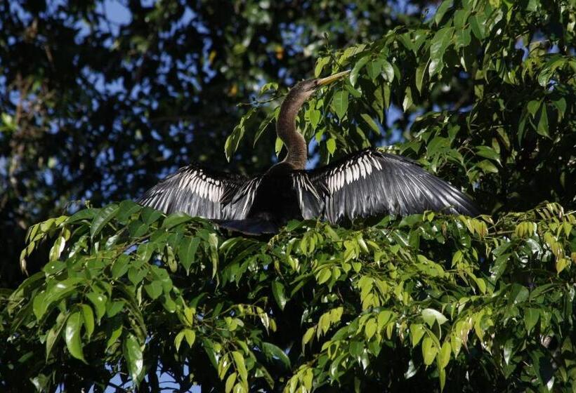 فندق Evergreen Lodge