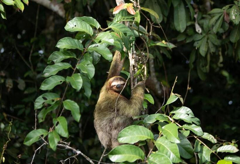 فندق Evergreen Lodge