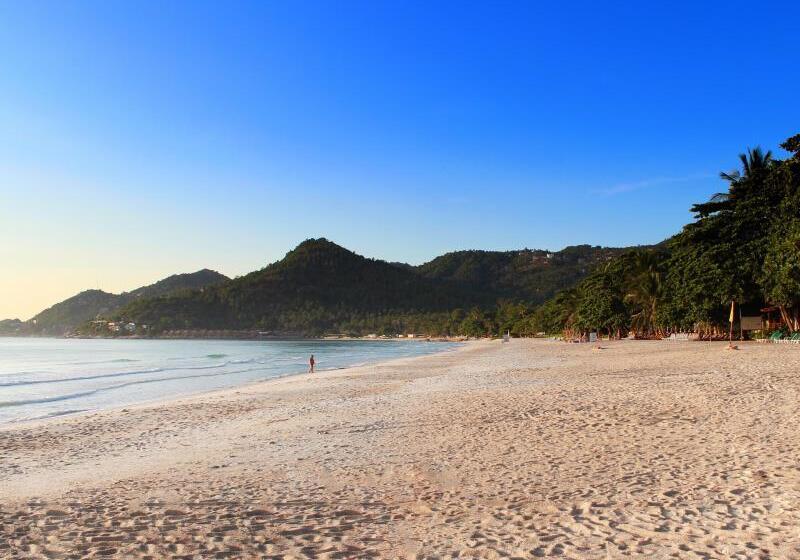 فندق First Bungalow Beach Resort