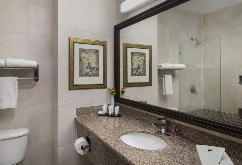 Отель Hodelpa Garden Suites - All Inclusive