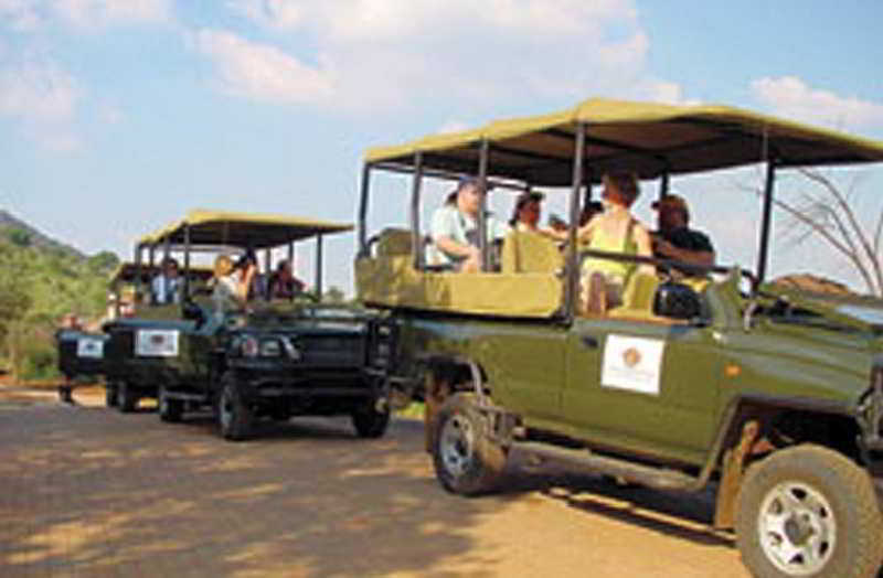Отель Ivory Tree Game Lodge
