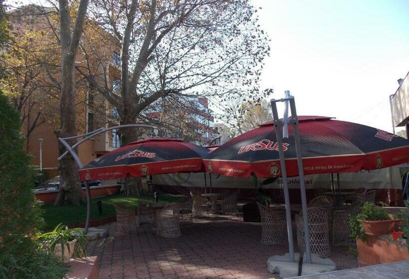 ホテル Johann Strauss