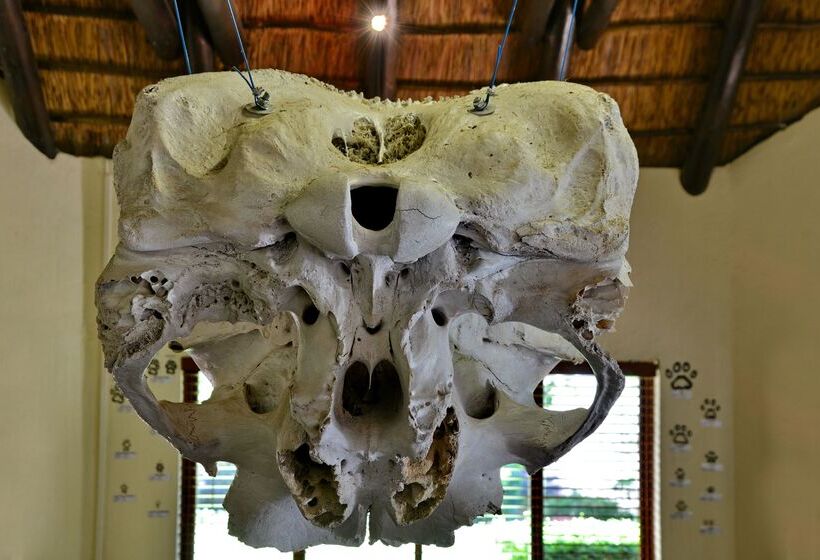 Отель Kwa Maritane Bush Lodge