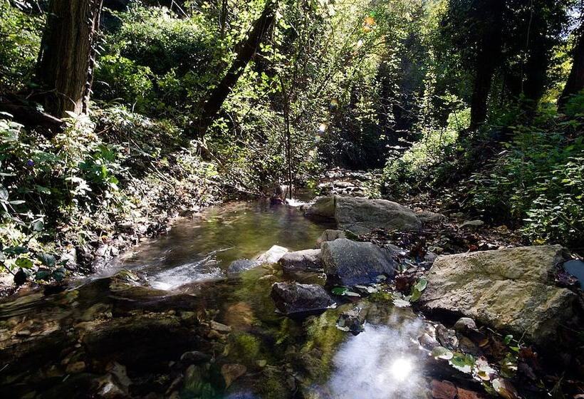 בית מלון כפרי La Selva