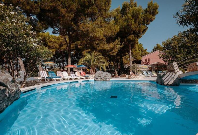 ホテル Matilde Beach Resort