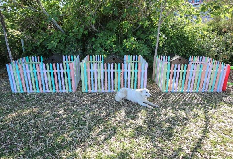 Merit Crystal Cove Hotel Casino & Spa