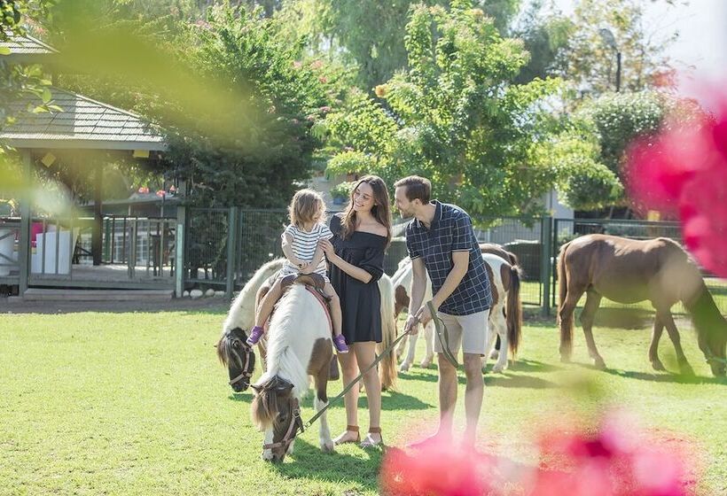 Merit Crystal Cove Hotel Casino & Spa