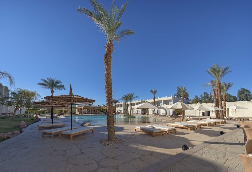 ホテル Reef Oasis Beach Aqua Park Resort