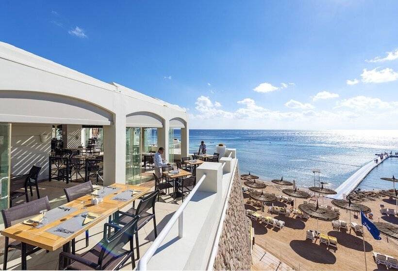 ホテル Reef Oasis Beach Aqua Park Resort