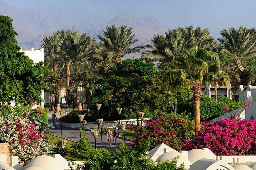 ホテル Reef Oasis Beach Aqua Park Resort