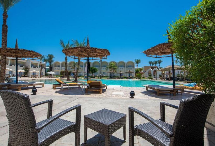 ホテル Reef Oasis Beach Aqua Park Resort