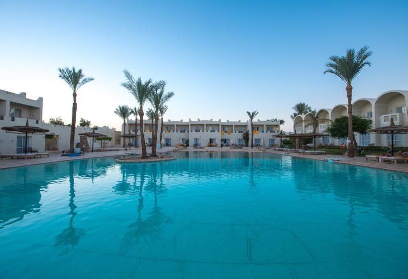 ホテル Reef Oasis Beach Aqua Park Resort