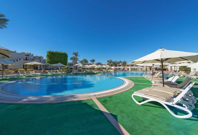 ホテル Reef Oasis Beach Aqua Park Resort