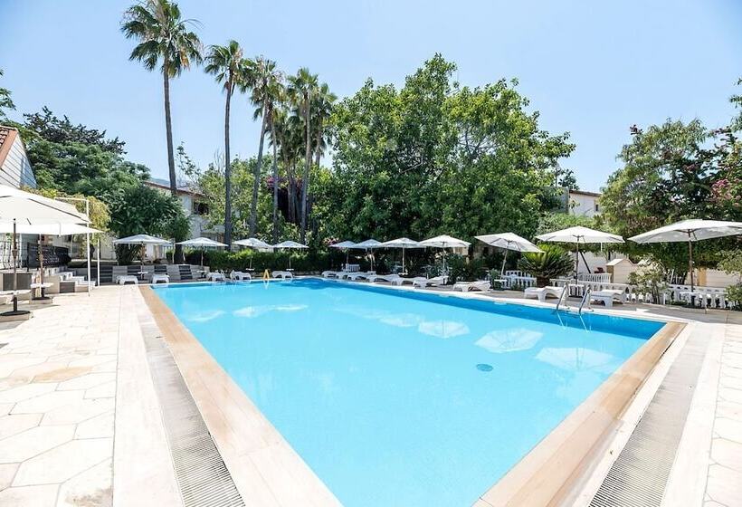 فندق Riverside Garden Resort