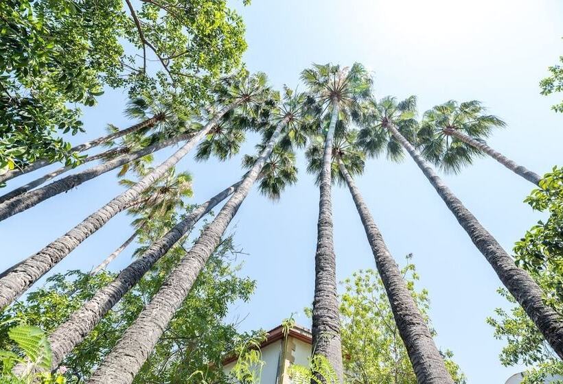 فندق Riverside Garden Resort