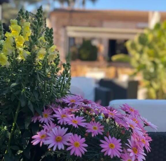 Отель Son Molí Country House