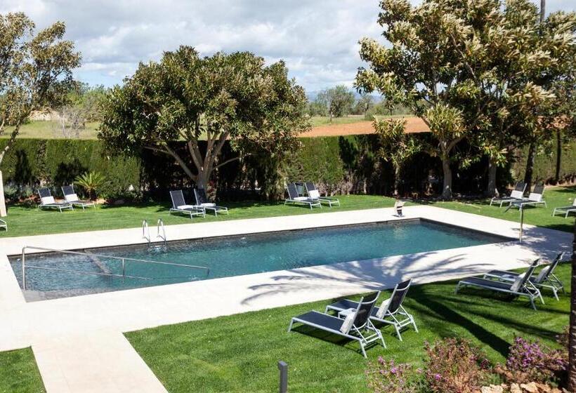 Отель Son Molí Country House