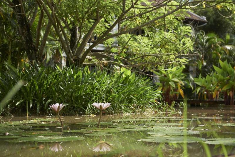 فندق Santi Resort & Spa