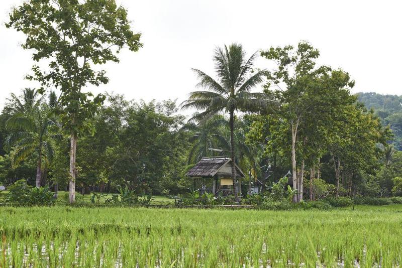 فندق Santi Resort & Spa