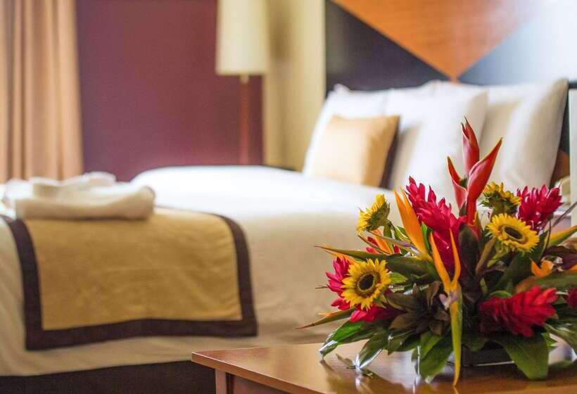 酒店 Sleep Inn Paseo Las Damas