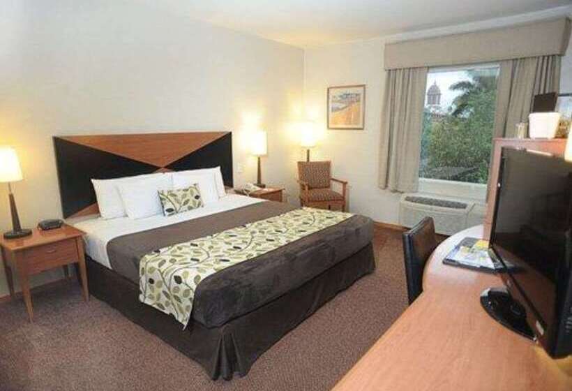 酒店 Sleep Inn Paseo Las Damas