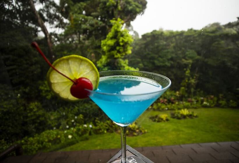 Отель Trapp Family Lodge Monteverde