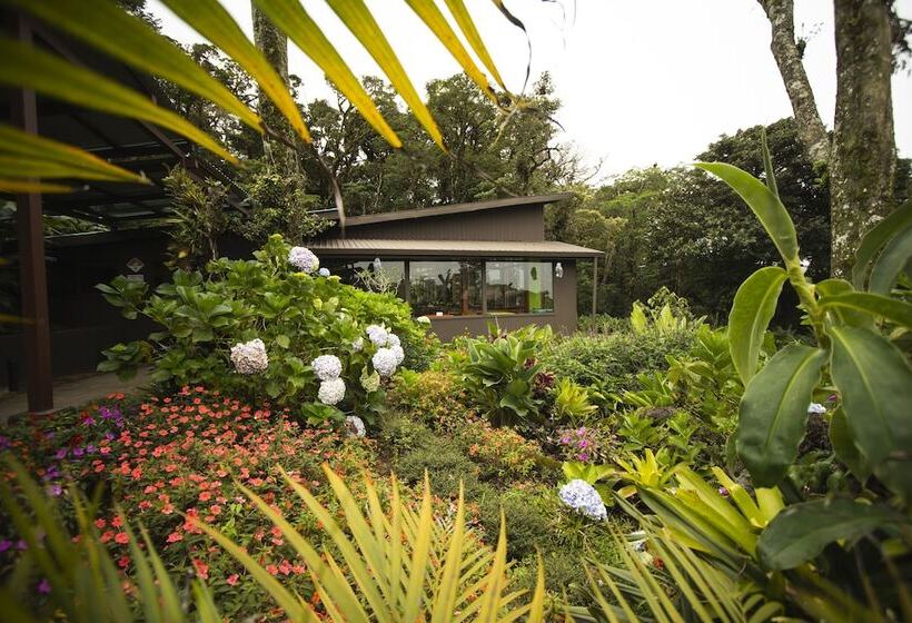 Отель Trapp Family Lodge Monteverde