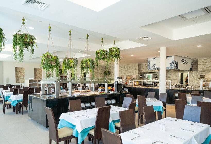 Marsenses Ferrera Blanca