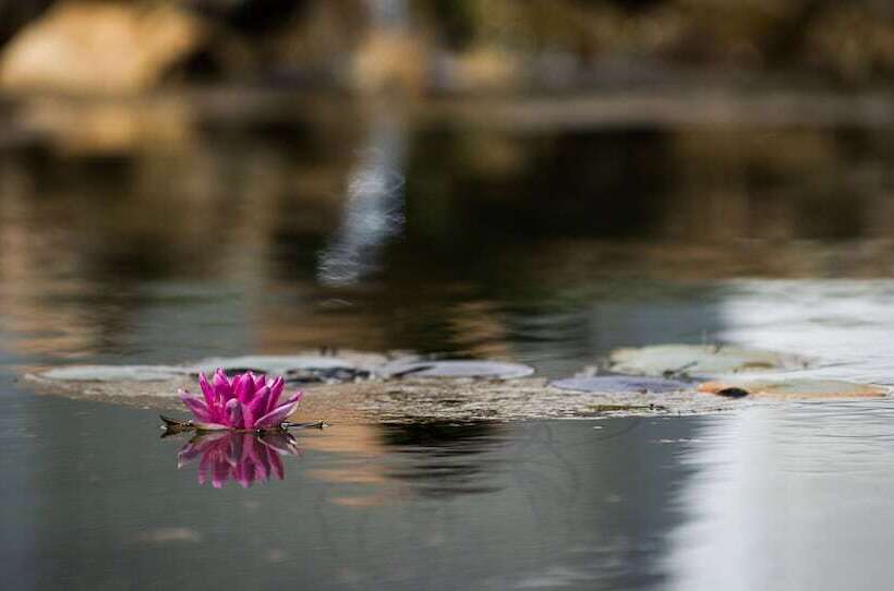 渡假胜地  Octant Vila Monte