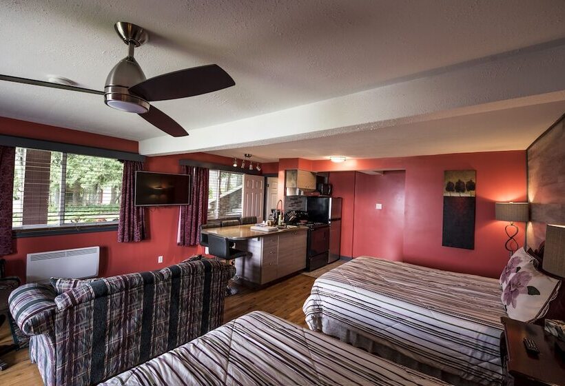 ユースホステル Auberge Villa Bellerive