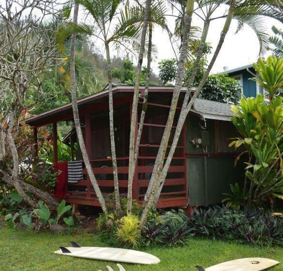 הוסטל Backpackers Vacation Inn And Plantation Village