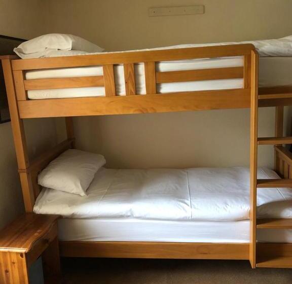 Общежитие Black Bull